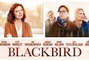 Blackbird  – 2020