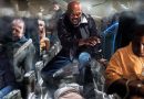 Des serpents dans l’avion